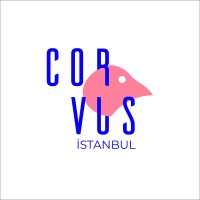 Corvus istanbul logo - Similar company to Layer Studio