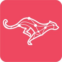 Panther City Digital Marketing logo - Similar company to Digiconus