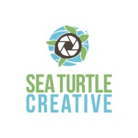 Sea Turtle Creative logo - Similar company to National Cancer Treatment Alliance