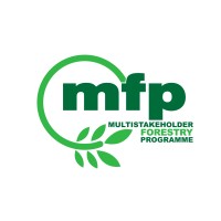 The Multistakeholder Forestry Programme