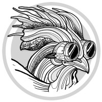 Roooster - Creative Alliances