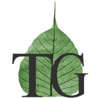 Timeless Green Sdn Bhd logo - Similar company to Diam Real Estate Digital Marketing