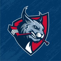 Newcastle Wildcats Ice Hockey Club logo - Similar company to Zoetermeer Panters