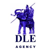 DLE Agency logo - Similar company to Exactly Agency