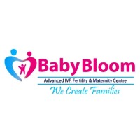 BabyBloom IVF & Maternity Centre  – Best IVF Centre/Clinic in Gurgaon, for IVF, IUI, ICSI, Surrogacy logo - Similar company to Trendecom Solution