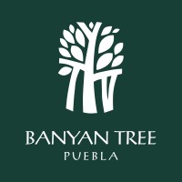 Banyan Tree Puebla logo - Similar company to Sharpen Studio