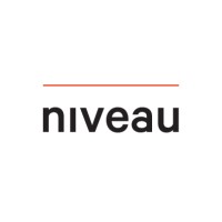 Niveau logo - Similar company to Code String Ltd