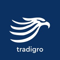 Virt AI logo - Similar company to Odo.Digital | Temaflex