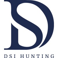 D.S.I Consulting logo - Similar company to Sig Consulting