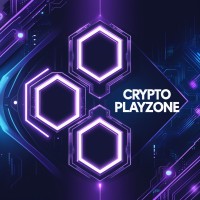 Crypto Playzone Ltd. logo - Similar company to Zmsolutions