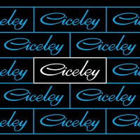 Ciceley Commercials Ltd logo - Similar company to Tekbo Ltd