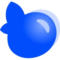Bluberry logo - Similar company to 5Ers