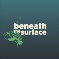 Beneath the Surface logo - Similar company to Focuson Industrial Services - Mmf Gmbh