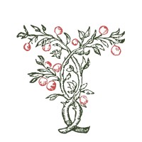 Foundation for a Civic Hungary logo - Similar company to Visiogram Hungary
