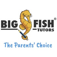 Big Fish Tutors: English, Maths & Science logo - Similar company to Gzm Tutorial Services