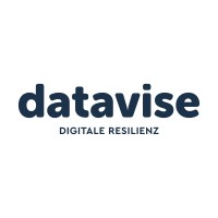 Datavise logo - Similar company to Datavise