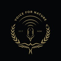 Voice for Nature logo - Similar company to Currently Available For Work
