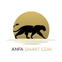 ANFA SMART COM logo - Similar company to T