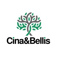 Cina & Bellis AG logo - Similar company to Valaiscom Ag