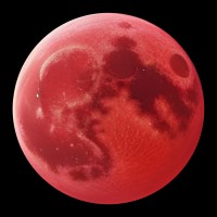 RED HOT MOON GmbH & Co. KG logo - Similar company to Engineering Academy