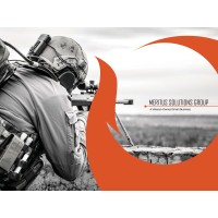 Meritus Solutions Group logo - Similar company to U.S. Army Corps Of Engineers Chicago District