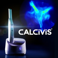 Calcivis