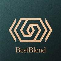BestBlend logo - Similar company to Learnzone