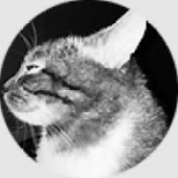 Mama Tigré Productions logo - Similar company to Okno