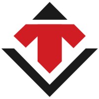 Tesagon logo - Similar company to Odin Solutions Srl