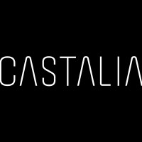 Castalia Co., Ltd. logo - Similar company to Colere Inc.