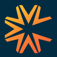 Virtua Research logo - Similar company to Reval Analytics