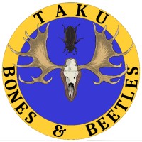 Taku Bones & Beetles Taxidermy