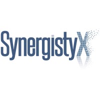 Synergistyx logo - Similar company to Blue Canopy Group, Llc
