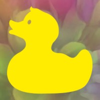 Wonderduck Agency logo - Similar company to Ibnlp