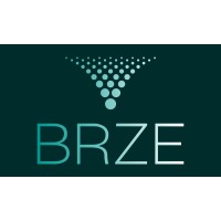 BRZE Associates Ltd logo - Similar company to Keystone Accountability
