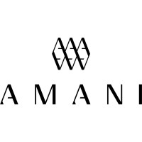 Amani Partners logo - Similar company to Eximus Capital Markets
