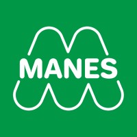 Manes Macchine logo - Similar company to Surface Engineering