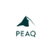 PEAQ Partners GmbH Zürich logo - Similar company to Peaq