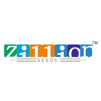 zillionseed logo - Similar company to Arg Ventures