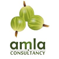 Amla Consultancy Pvt Ltd logo - Similar company to Amatosoft