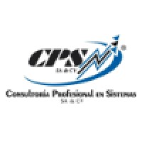 Consultoría Profesional En Sistemas