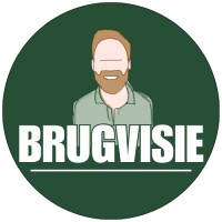 BrugVisie logo - Similar company to Ctrl Improve Bv