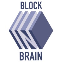 BlockinBrain logo - Similar company to Dfi Capital Llc