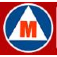 Magico Motor logo - Similar company to Tecnofast S.R.L.