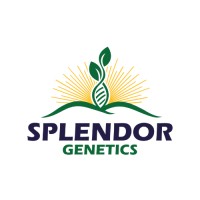 Splendor Genetics logo - Similar company to Stamagro