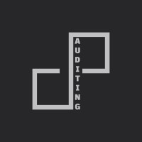 Dib Auditing & Consulting logo - Similar company to Ai Auditing