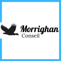 MORRIGHAN Conseil logo - Similar company to Sales Cirkle