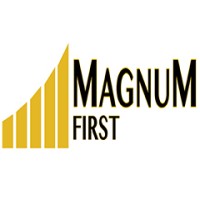 Magnum First Inc logo - Similar company to Nightingale.Lighting