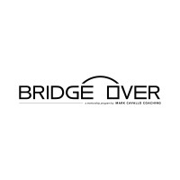 BridgeOver logo - Similar company to New Dawn Coaching - A Schouten & Nelissen Company