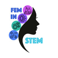 Females In STEM logo - Similar company to Empowering Female Minds In Stem